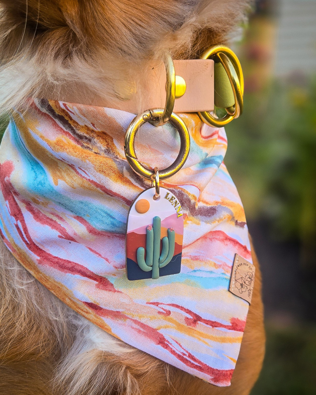 Desert Dog