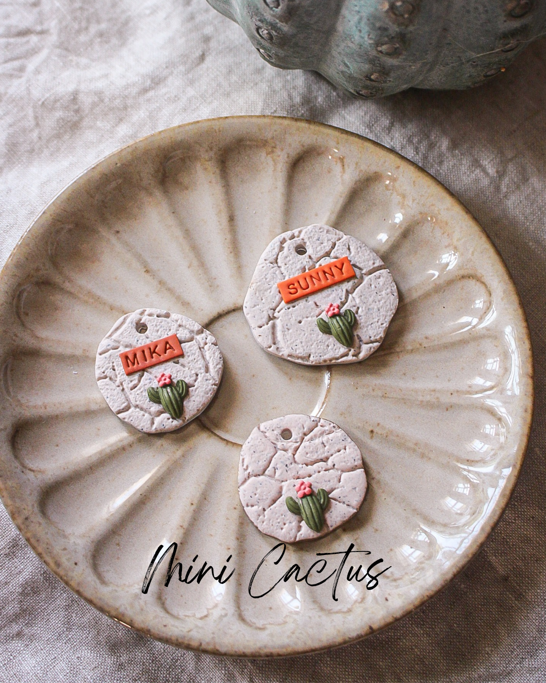 Mini Cactus