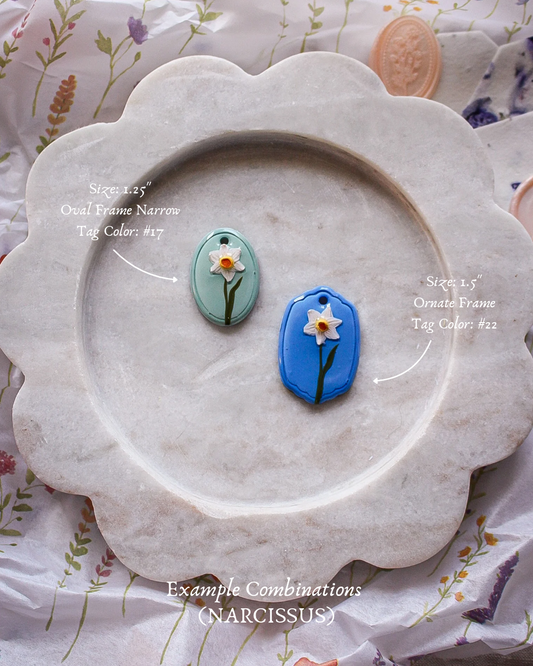 December - Narcissus