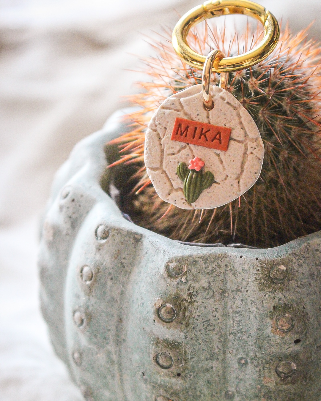 Mini Cactus