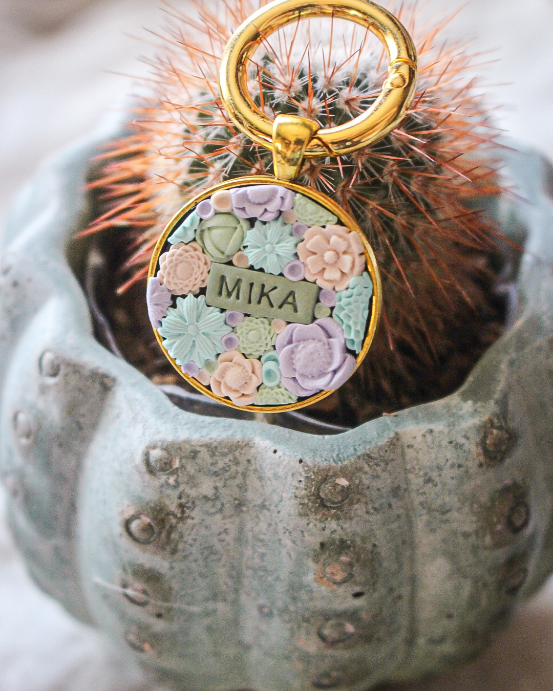 Succulent Garden