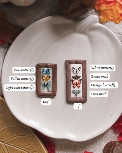 Moth Shadowbox
