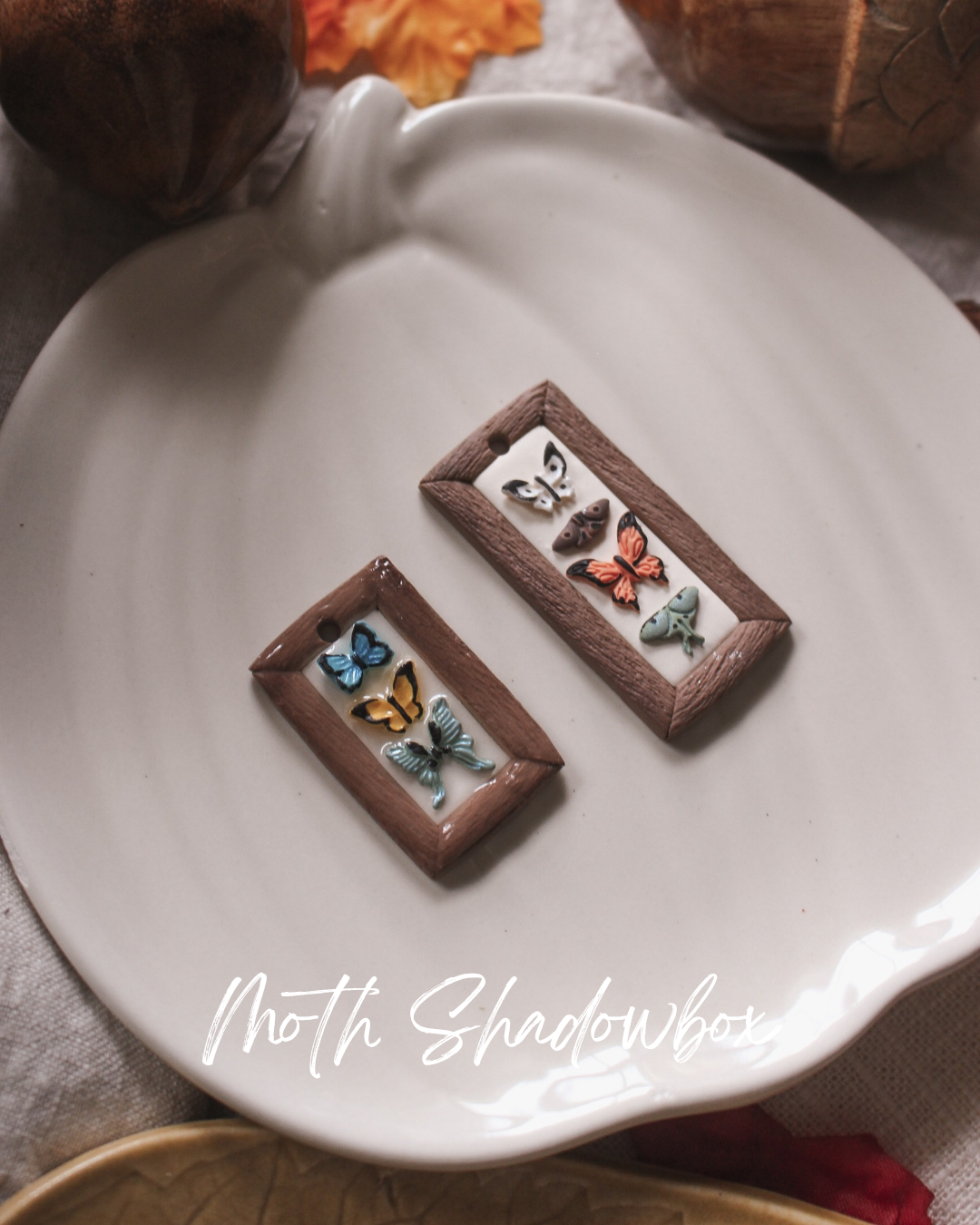 Moth Shadowbox