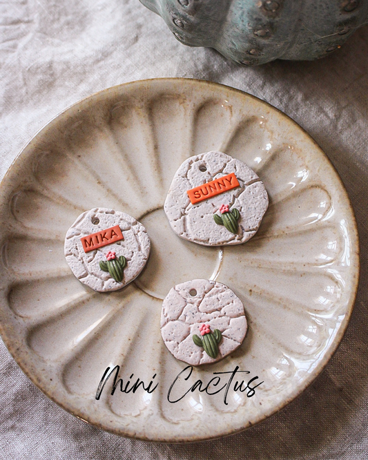 Mini Cactus