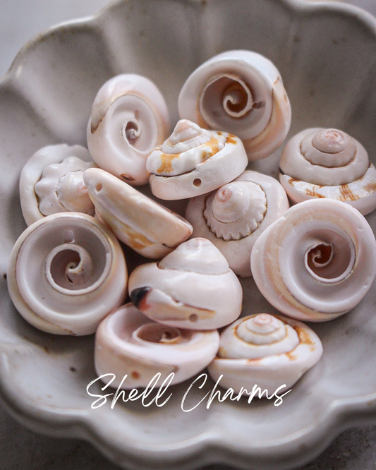 Shell Charm