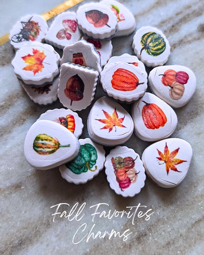 Fall Favorites Charms